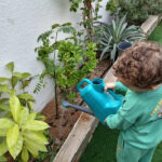 best-nursey-in-al-barsha-al-fajr-childcare.jpg