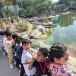 Best Montessori in Dubai